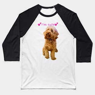 I am Cute says the fluffy, cavapoo, cavalier king charles spaniel Baseball T-Shirt